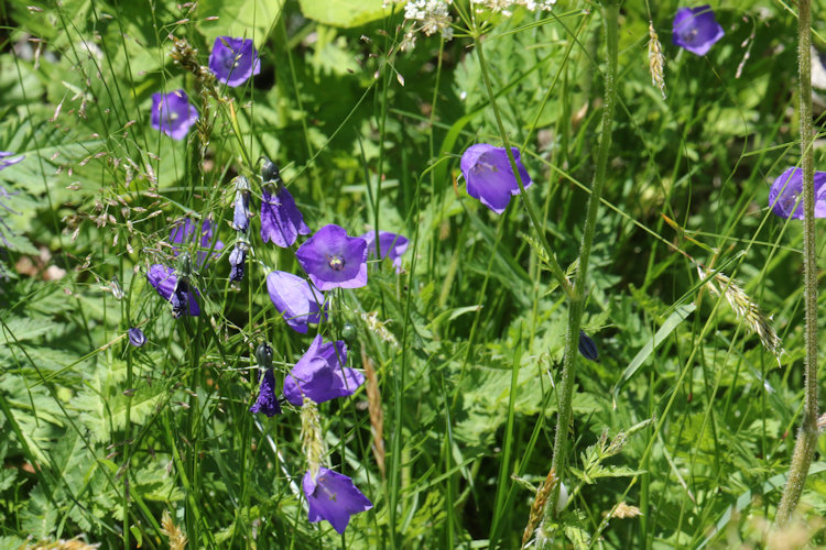 : Bild 7