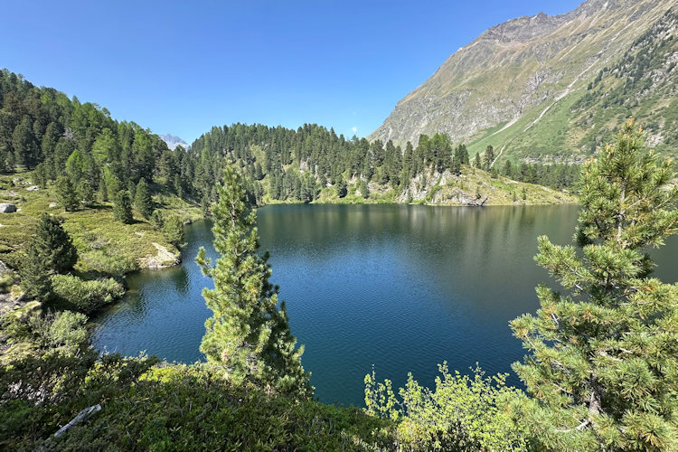 : Bild 7