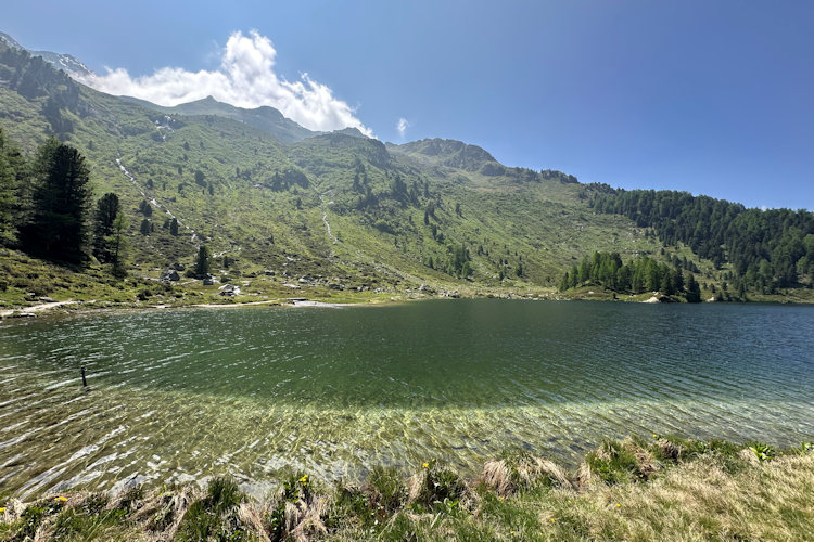 : Bild 3