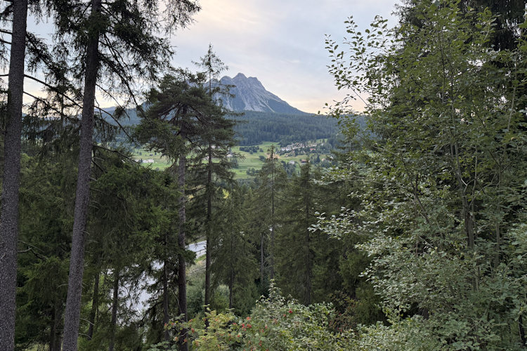 : Bild 3