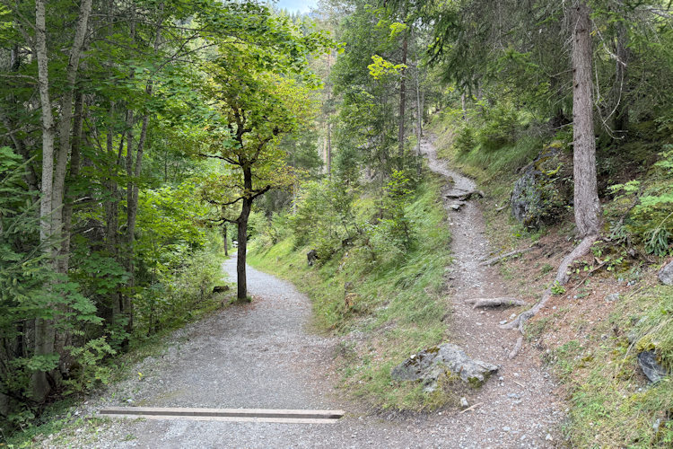 : Bild 5