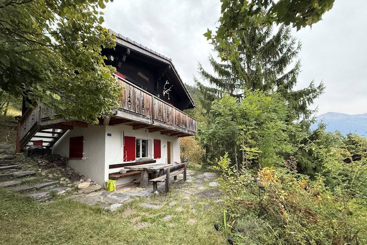: Bild 1