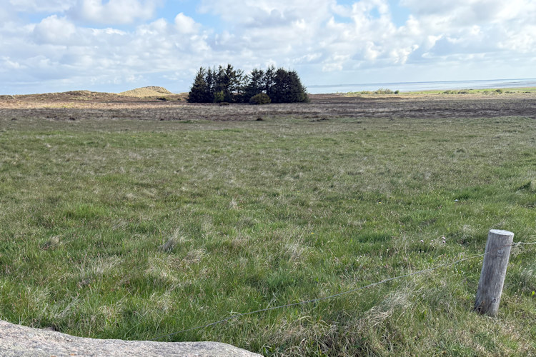 : Bild 6